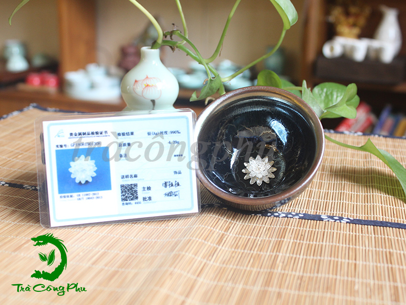 Chén Thiên Mục CTM03